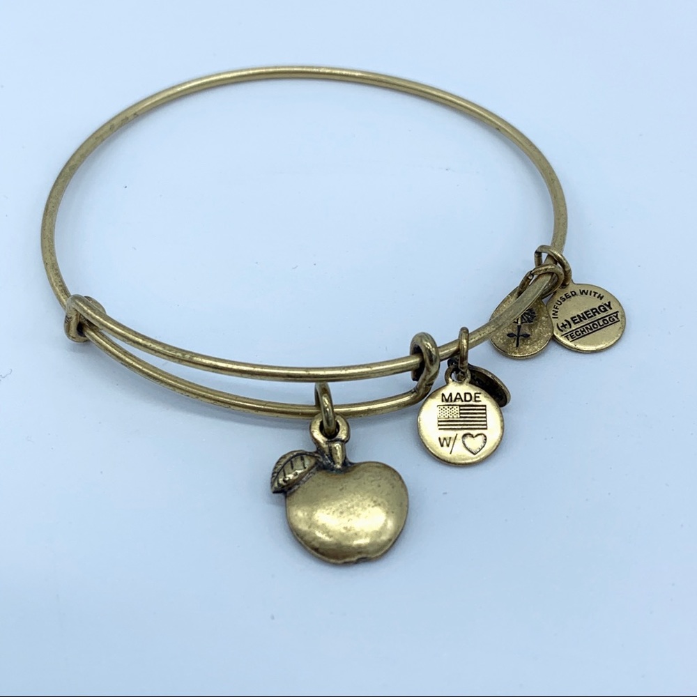 APPLE Alex and Ani Antique Gold  Bangle Bracelet